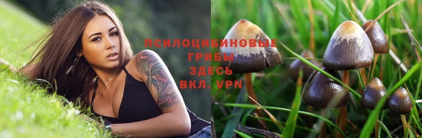 не бодяженный Беломорск