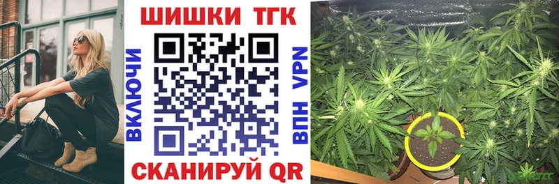 Конопля план  Купить закладки  Светлый 
